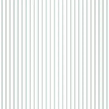 fine stripe4