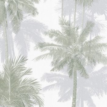 palmeiras1