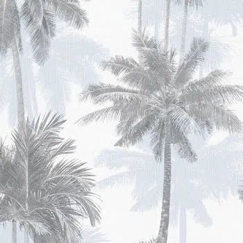 palmeiras2